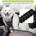 Premium Dog Seat Belt Set - Adjustable Car Safety Harness for Small & Large Dogs | 2-Piece Taval Stroke Belt for Back Seat Isofix - Buy Online on GoSupps.com