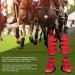 Thickened Horse Leg Guards Jumping Horse Leg Guards Lightweight for All Weather Riding - Buy Online on GoSupps.com