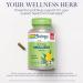 SOLARAY Mullein Leaf 330 mg and Hawthorn Berry Capsules 1050 mg - Soothing Herbal Support Bundle for Overall Health and Wellness - Vegan Non-GMO 60-Day Guarantee Lab Verified 200/180 VegCaps - Buy Online on GoSupps.com