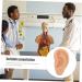 FOMIYES Silicone Ear Practice Model - Realistic Fake Ears for Teaching & Medical Training | Ideal for Simulated Ear Practice - Buy Online on GoSupps.com