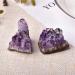 Crystal Rough 1PC Natural Amethyst Crystal Cluster Quartz Raw Crystals Stone Decoration Ornament Purple Stone Ore 1PC Random Delivery - Buy Online on GoSupps.com