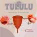 TULULU Menstrual WonderCups Variety Pack of 3 Medical Grade Silicone Discs Sustainable & Soft Menstrual Cup Alternative - Buy Online on GoSupps.com