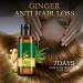 Ginger hair growth oil 35 ml ginger hair growth essential oil ginger hair treatment oil essential oil against hair loss shampoos - Buy Online on GoSupps.com