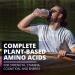 FUNDAMINOS-Vegan EAA/BCAA s Botanically Boosted Best-Tasting Great Value Nothing Artificial Â  Physician-Formulated Clinically-Proven Since 2008 (30 servings) - PureClean Performance - Buy Online on GoSupps.com