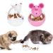 Legendog Small Cat Slow Feeder Food Ball - Interactive Cat Toy for Treat Dispensing - White - Buy Online on GoSupps.com