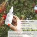 Multi-Peptide + HA Serum for Face Anti-aging Advanced Regenerating Collagen Peptide Serum Firming & Smoothing Face Serum for Fine Lines & Wrinkles Hydrating Skincare For All Skin Types(30ML) - Buy Online on GoSupps.com