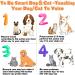 Dog Recordable Training Buttons Set of 6 Colors Dog Training Buzzer Dog Talking Buzzers Button with 25 Stickers and 3 Mats Louder Clearer Record & Playback Message for Communication&Training - Buy Online on GoSupps.com