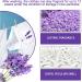 Lavender Laundry Beads Powerful Stain Removal Laundry Detergent Active Enzyme Laundry Detergent Stubborn Laundry Stain Cleaner Powerful Laundry Detergent - Buy Online on GoSupps.com