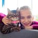 2PCS Glow in The Dark Breakaway Cat Collars with Bell - Adjustable Kitten Collars in Purple+Pink - Buy Online on GoSupps.com