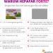 HepaFar Forte 180 Capsules - Detox Complex with Milk Thistle Artichoke & Dandelion | High Bioavailability | Vitamin E & Phospholipid | Innovative Formula by Sensilab - Buy Online on GoSupps.com