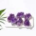 1/5/10PC 20-30g Natural Purple Brazilian Amethyst Quartz Crystal Cluster Stones Druzy Geode Specimen Ornament Home Decor Crafts ZJGIDTEM (Color : 10pcs) - Buy Online on GoSupps.com