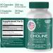 Choline Bitartrate 500MG - Premium Choline Supplements - Liver Support Supplement & Gallbladder Supplements - Colina Suplemento 500 mg Org nica - Brain Vitamin for Memory and Focus - 60 Choline Caps - Buy Online on GoSupps.com