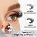 3D Magnetic Eyelashes with Tweezers Reusable Waterproof No Glue Needed for Daily Makeup or Dating Wedding Party - Buy Online on GoSupps.com