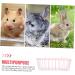 Rabbit Rack Feeder for Cage Holder for Rabbits Pet Feeder Metal Rack Metal Feeder Feeder Hamster Holder Cage Guinea Pig Wrought Iron Ferrets - Buy Online on GoSupps.com