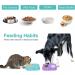2 Pack Feeding Mat for Dogs & Cats | Slow Feeder & Non-Slip Design | Anxiety Relief & Training | Perfect for Yogurt & Peanut Butter | Blue & Purple - Buy Online on GoSupps.com