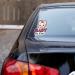 Baby in Car Stickers | Cute Removable Safety Stickers for Girls | On Board Car Window Decals - Buy Online on GoSupps.com