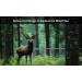Aimdor Hunting Broadheads 100/125 Grain Stainless Steel 12pcs for Crossbow & Compound Bow - Buy Online on GoSupps.com