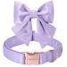 Unique style paws silk silk color dog collar. Conductible hard-wearing dog collar with loop wedding fly dog collar for x-mall puppies and cats s lavender