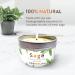 Chandelita Aroma Candle - Pure Sage for Blessings Energy & Chakra Healing | Soy Wax Relaxation Candle (1 Unit) - Shop Now! - Buy Online on GoSupps.com