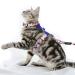 Supet cat dishes with a leash outbreak-proof adjustable cat dishes for large and small cats slightly kitten dishes kitten cat leash and dishes set blue s (breast size: 25.5-40.5cm) blue