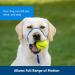 PetSafe Gentle Leader Headcollar - No-Pull Dog Collar for Easy Leash & Harness Training - Buy Online on GoSupps.com