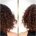 Hair Biology Anti-Frizz Shampoo for Dry & Colored Hair | Illuminate & Soothe Menopause Hair Care - Shop Now - Buy Online on GoSupps.com