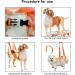 Dog Lifting Harness for Back Legs - Adjustable Support Rehab for Elderly & Injured Dogs (Medium) - Buy Online on GoSupps.com