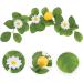 HOMSFOU 4 Pcs Simulation Lemon Pendant Dried Lemon Slices Decorative with Lemon Artificial Greenery Hanging Lemon Garland Flower Decor Leaves Room Decor Wall Hanging Fruit Plastic Yellowx2pcs 38x10cmx2pcs - Buy Online on GoSupps.com