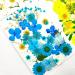 LUCISKY 204 Pcs Pressed Dried Flowers & Butterfly Stickers - Natural Real Flowers for Resin, Nails, Scrapbooking - DIY Art Crafts - Buy Online on GoSupps.com