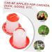 Happyyami House Bird Feeder 1 Set Feeder Chicken Waterer Chicken Water Dispenser Anti-Spatter Food Troughs Automatic Food Plate - Buy Online on GoSupps.com