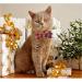 Malier 2 Pack Christmas Cat Collar with Bell & Bow Tie - Classic Buffalo Plaid Design for Cats & Kittens - Buy Online on GoSupps.com