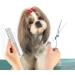 Curved Stainless Steel Fell Scissors for Dogs & Cats | Professional Grooming Scissors Set with Pet Comb - Blue - Buy Online on GoSupps.com
