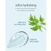 LG BEAUTY Beyond Angel Aqua Moist Soothing Cream Gift Set - Wild Chervil & Cica - 2 Pack, 300ml/10.14 Fl Oz - Buy Online on GoSupps.com