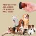 BEANPRECOY Dog Nail File with 8pcs Sandpaper Dog Nail Scratch Board Dog Nail Grinder Wooden Replaceable Sandpaper Dog Nail Trimmers for Polishing Cat and Dog Nails - Buy Online on GoSupps.com
