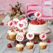 24 Pack Strawberry Cupcake Toppers Strawberry Birthday Baby Shower Summer Fruit Theme Decorations Party Supplies Dessert Ornaments Pink Berry Themed Cake Decors for Girl - Buy Online on GoSupps.com