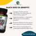 Amazing Herbs Premium Black Seed Oil Capsules - Gluten Free Non GMO - Cold Pressed Nigella Sativa - Digestive Health, Immune Support, Brain Function - 90 Count x 2 - Buy Online on GoSupps.com