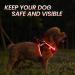 Shop PCEOTLLAR USB Rechargeable LED Dog Harness - Reflective Light for Small Medium Dogs Lightweight & Flashing - Black & Red - Buy Online on GoSupps.com