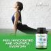 Forest Leaf Hyaluronic Acid Supplements 120 Capsules - 100mg HA + 50mg Vitamin C Anti-Aging Formula - Skin Hydration, Joint & Bone Support - Buy Online on GoSupps.com