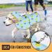 Slowton Waterproof Dog Raincoat - Transparent Double-Layer Jacket with Hood for Small to Large Dogs | Reflective Strip & Storage Bag Included - Buy Online on GoSupps.com