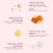 Guava Lip Balm Hydrating for Dry Lips - Natural Lip Moisturizer with Beeswax Squalane & Castor Oil Protects Lip Barrier Lip Care for Chapped Lips Lip Repair - 0.15 Fl oz Guava Small - Buy Online on GoSupps.com
