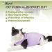 Buy Hipet Cat Surgical Suit - Recovery Vest for Abdominal Wounds & Skin Diseases | Anti-Licking Onesie for Cats (Large Violet) - International Shipping - Buy Online on GoSupps.com