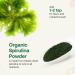 Quay Naturals Organic Spirulina Powder 8oz Non-GMO Gluten-Free Vegan Plant-Based Protein Iron-Rich Spirulina Powder for Smoothies - Buy Online on GoSupps.com