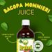 BASIC AYURVEDA Bacopa Monnieri Juice (Brahmi) 16.23 Fl Oz (480ml) | First Press Virgin Juice | Natural Brain & Memory Support | Herbal Tonic for Focus, Clarity & Wellness | No Sugar, Non-GMO - Buy Online on GoSupps.com