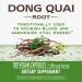 Nature's Way Dong Quai Root 565mg 100 Capsules - Pack of 2 | Herbal Supplement - Buy Online on GoSupps.com