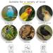 Kathson Parrot Perch Stand - Natural Wild Grape Paw Grinding Pole for Parakeet, Cockatiels, Budgies, Conure, Lovebirds | Bird Cage Accessories - Buy Online on GoSupps.com