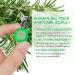 Organic Rosemary Oil Capsules | Non-GMO & Gluten Free | Hair Growth & Skin Repair | 40 Count Essentials - Buy Online on GoSupps.com