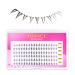 TDANCE Bottom Lashes - 108 PCS Clear Band Under Eye Lash Clusters 5-7mm Mixed Extensions for Stunning Looks | International Shipping Available - Buy Online on GoSupps.com