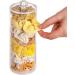 Clear Hair Scrunchie Holder Stand with Lid - 2 Pack | Hair Ties & Accessories Organizer for Teen Girls - FABROK - Buy Online on GoSupps.com