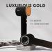 AINA 2000WE Hair Dryer Blow Dryer - High Speed Brushless Motor, Lightweight Ionic Travel (Luxurious Gold) - Buy Online on GoSupps.com