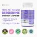 New Berberine MAXIMUM POTENCY 1000mg per Serving (2 capsules 500mg each) Supports Blood Sugar Levels Healthy Lipid (Fat) and Glucose Metabolism. Non-GMO Vegan Gluten Free. 90 Easy to Swallow Capsules- 3 pack 90 count (Pack of 3) - Buy Online on GoSupps.com
